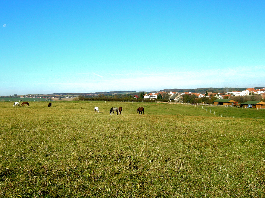 pastvina koncem října 2010
